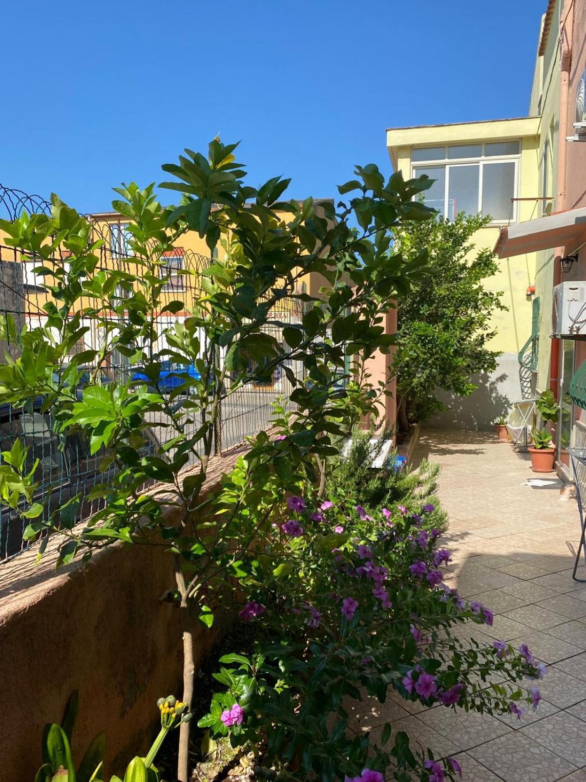 Ferienwohnung Lemon House Sassari Exterior foto
